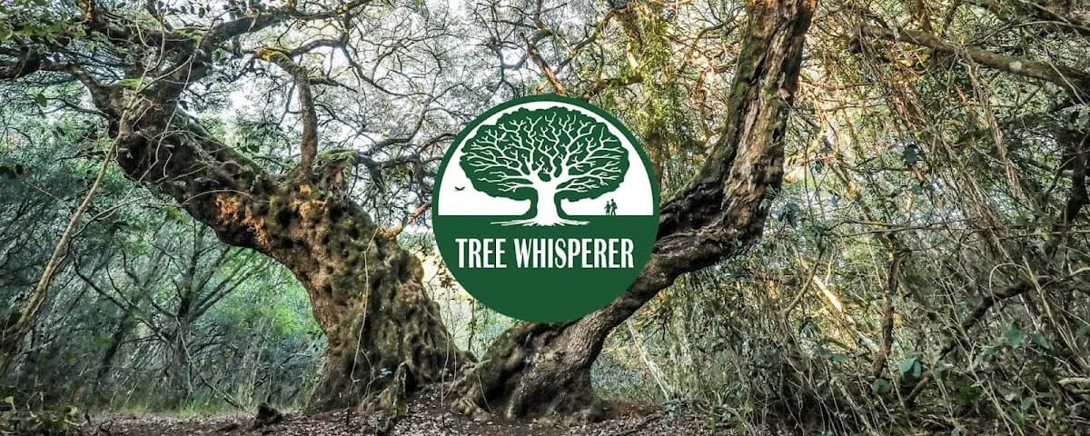 Tree Whisperer in Wilderness