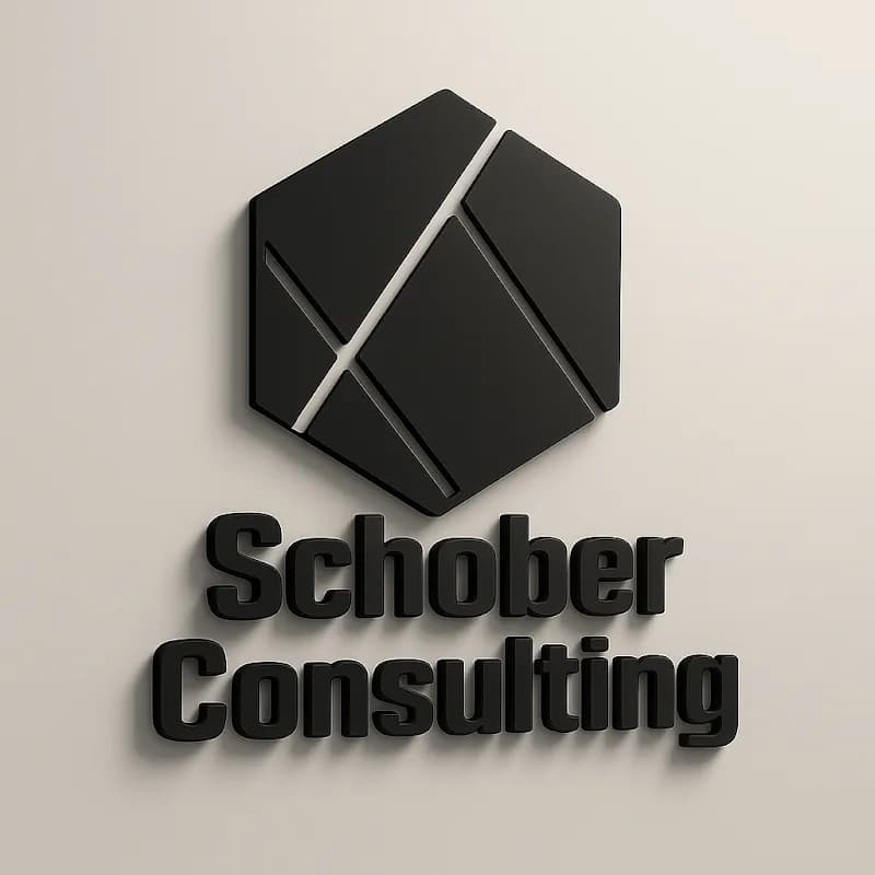 Schober Consulting LLC in Saint Paul
