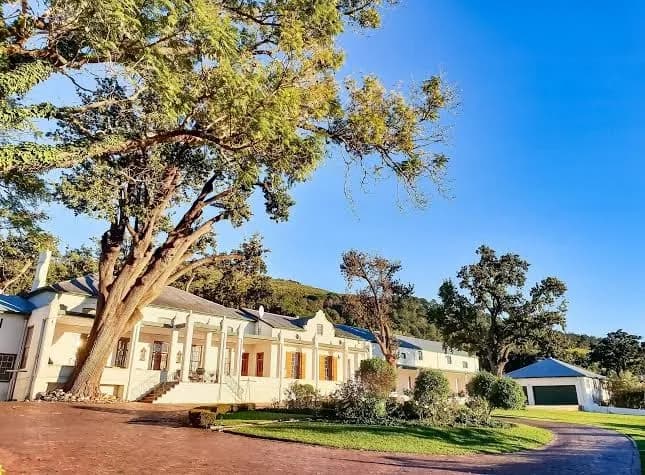 D'olyfboom Family Estate in Paarl CBD
