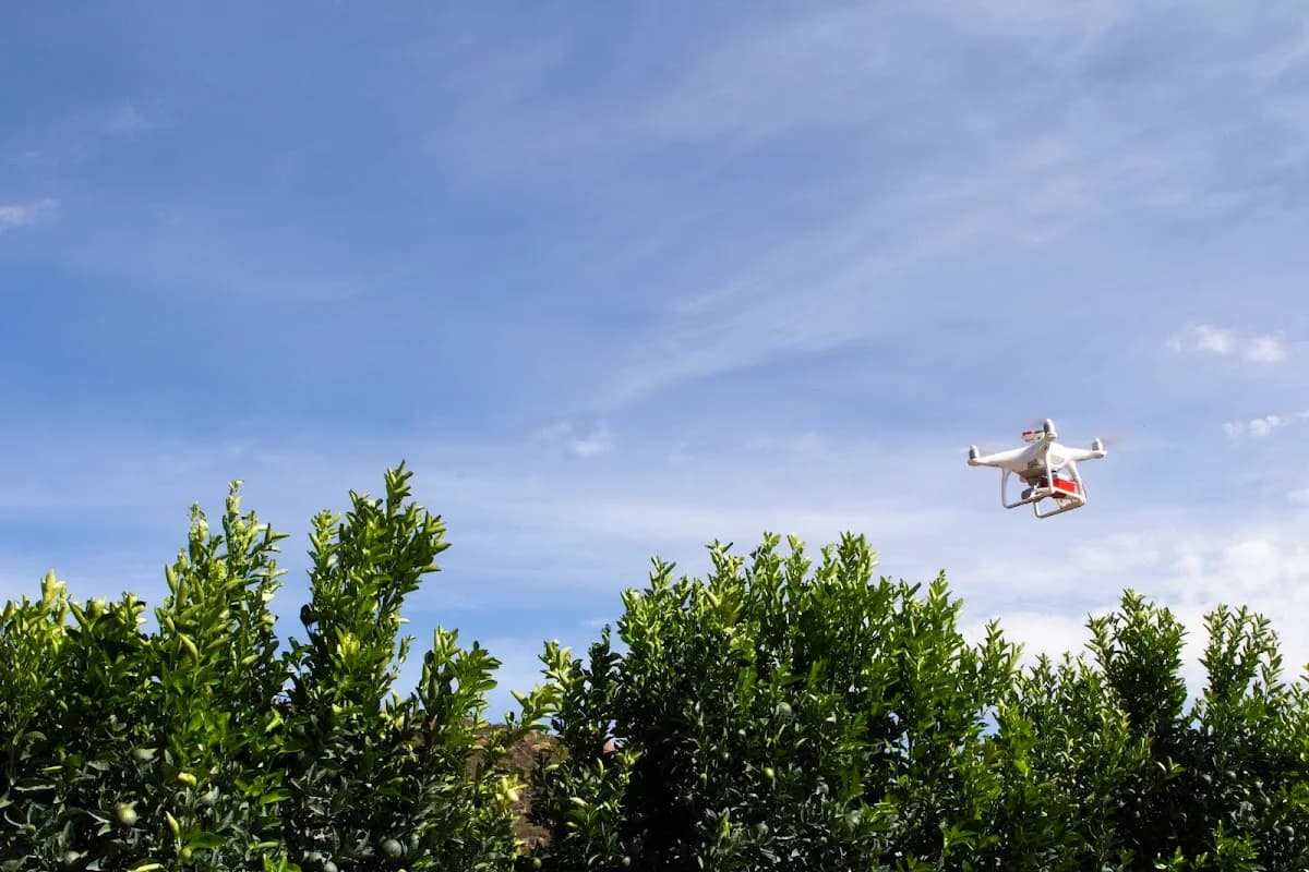 Aerobotics PTY LTD in De Waterkant