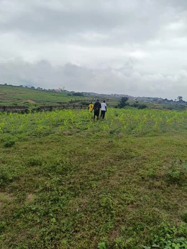NADKAZ NIGERIA LTD in Pyakasa