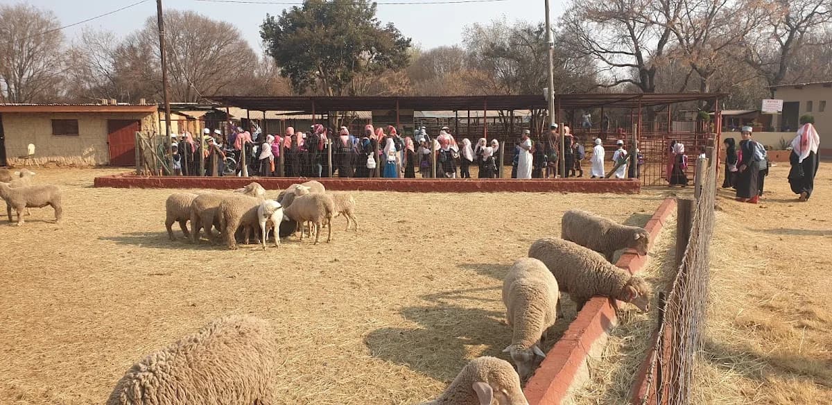 Dockrat’s Farm in Centurion