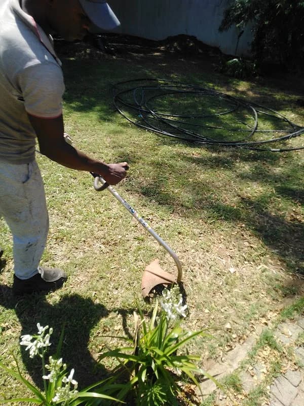 Rosebank Garden Design & Plumbing Fix in Illovo