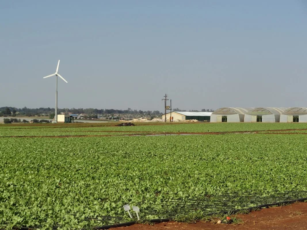 Pinocchio's Farm in Krugersdorp CBD