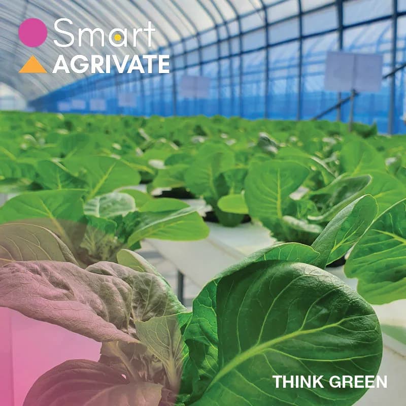 Smart Agri SA in Newton Park