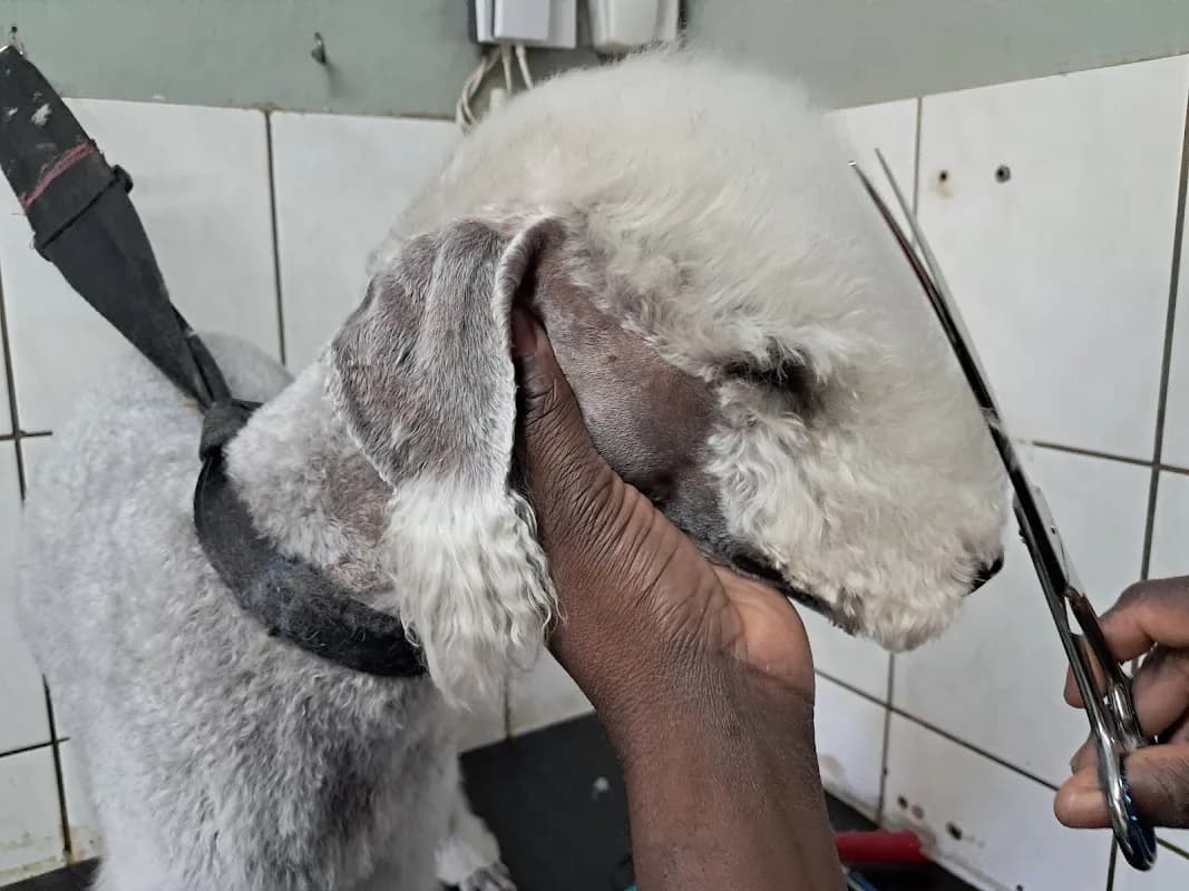 Piekfyn Parlour, Kennels & Daycare, Vetshop in Wonderboom