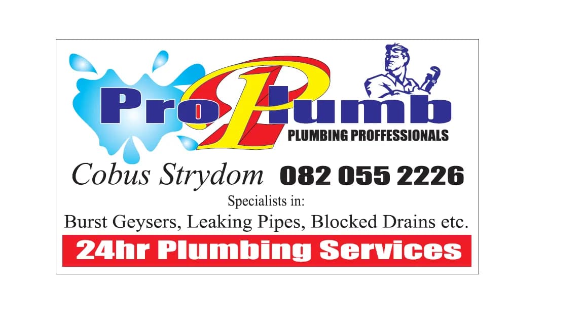Pro Plumb in Bendor
