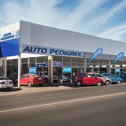 Auto Pedigree Newcastle in Madadeni