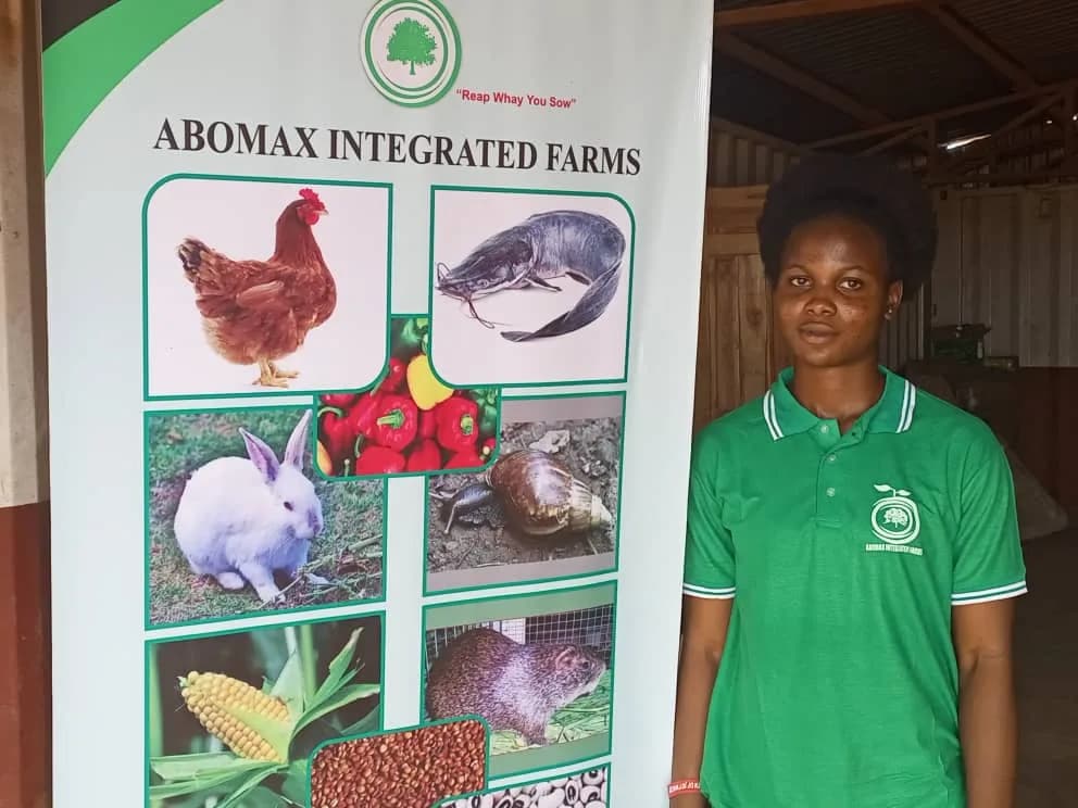 ABOMAX GROUP in Asokoro