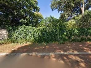 Procession Group in Weltevreden Park