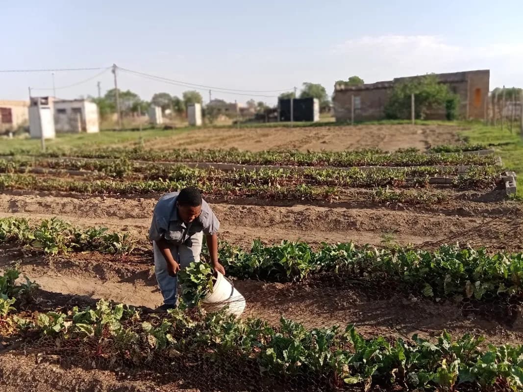 BAILA LEHLAKA AGRI FARM in Seshego