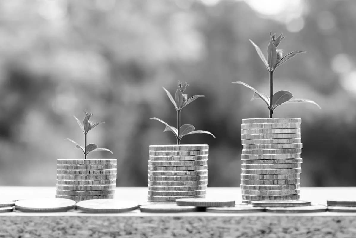 Arena Insurance Consultants Pty (Ltd) in Craighall