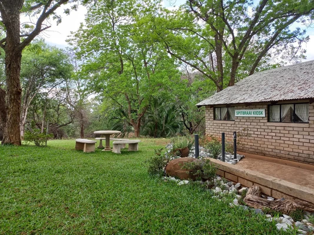 Tarentilos in Tzaneen CBD
