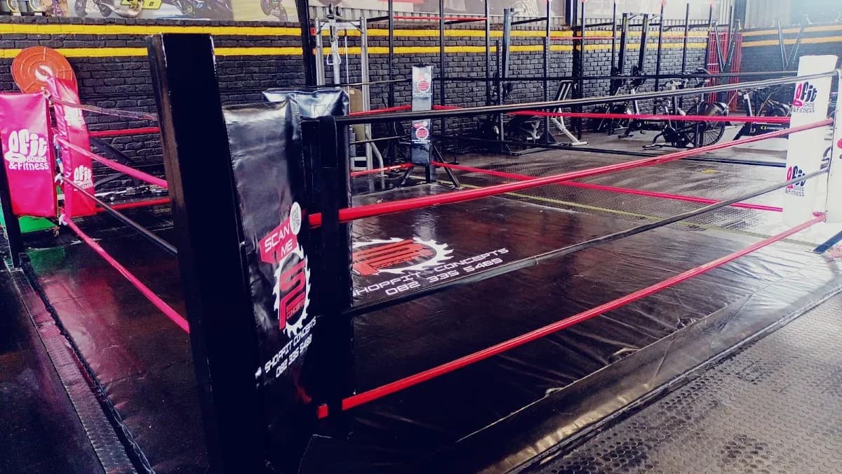 Knockout Factory Boxing and fitness in Rynfield