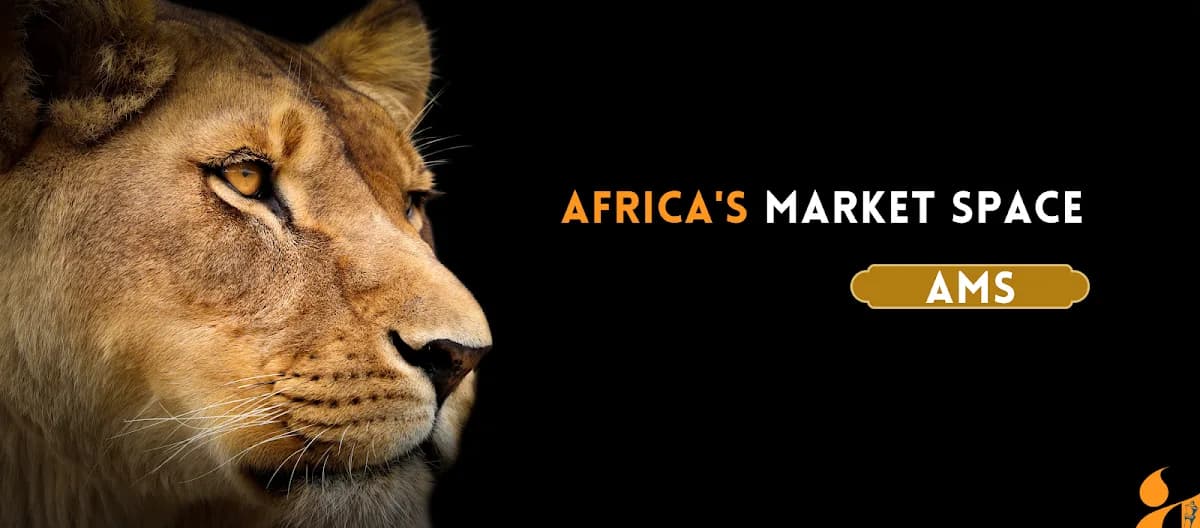 Atlegile Marketing Solutions in Pimville
