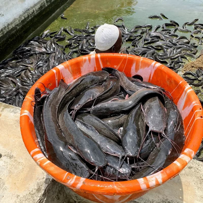 Jac’s Fishery & Foods in Garki Area 1