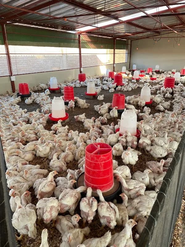 Grace Farms in Kempton Park