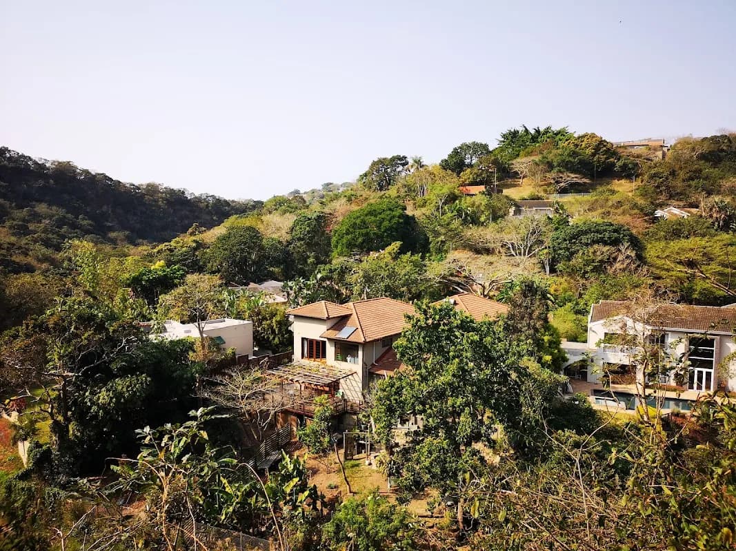 Palmiet Nature Reserve in Westville