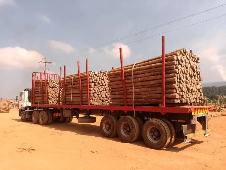 Sonae Arauco (Pty) Ltd Production Facility in White River