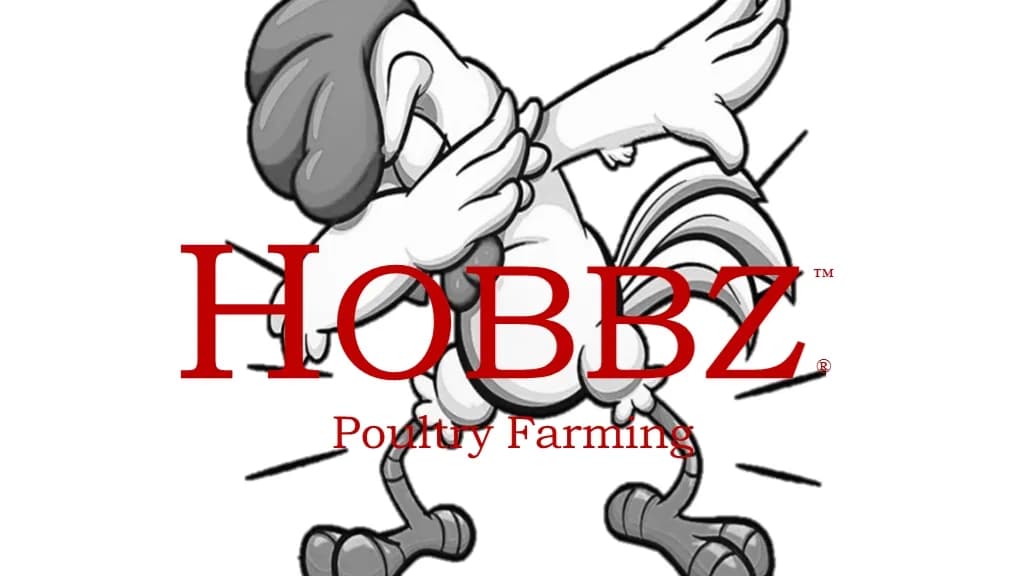 HOBBZ Poultry in Soweto