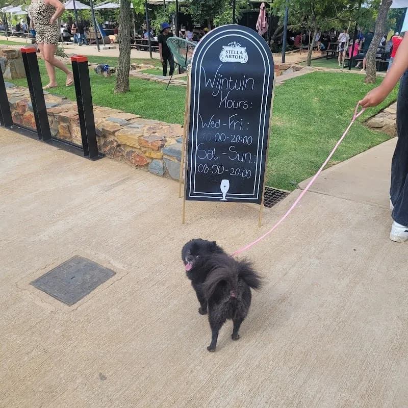 Watties Pampered Pooches in Wonderboom