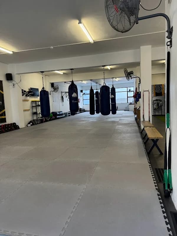 Iron Tiger - Fight & Fitness in Gardens
