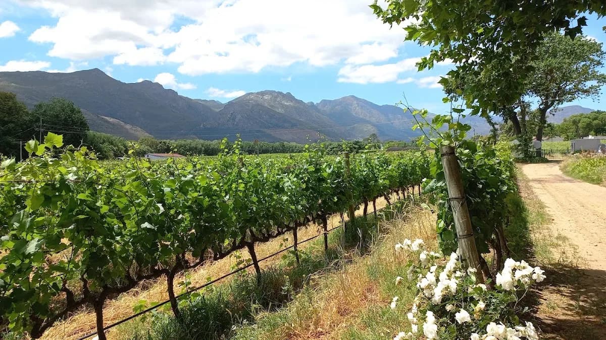 One Happy Valley in La Motte