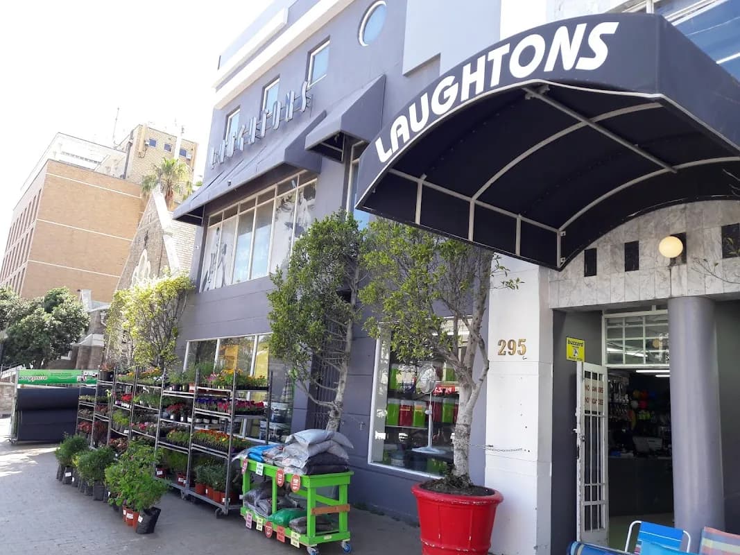 Laughtons Group in Sea Point