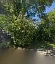 Conservation Management Services in Heatherlands