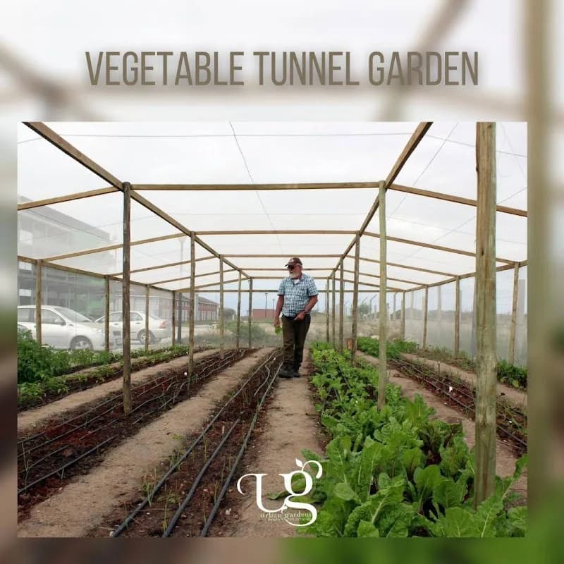 Urban Gardens in Humewood