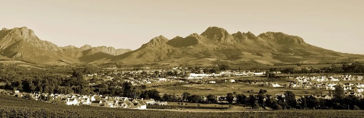 Mustard Seed Marketing in Die Boord