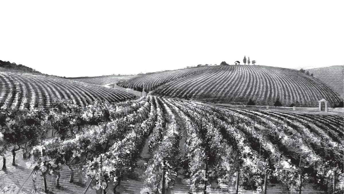 Great Domaines in Melrose