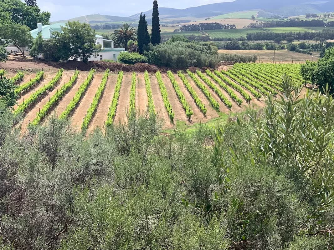 Kanu Wines in Kayamandi