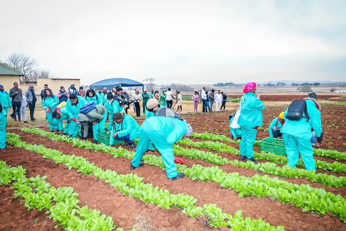 GAUTENG DEPARTMENT OF AGRICULTURE AND RURAL DEVELOPMENT in Germiston
