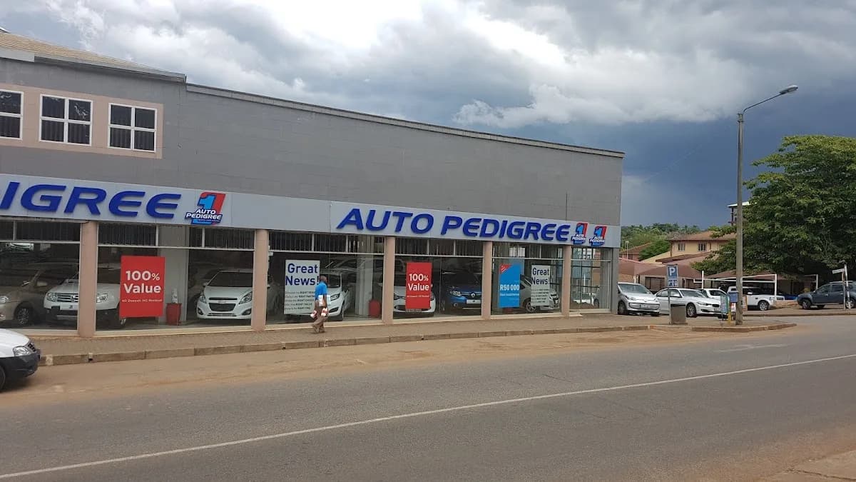 Auto Pedigree Tzaneen in Haenertsburg