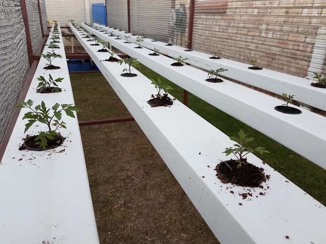 Hydro Farms in Gqeberha CBD
