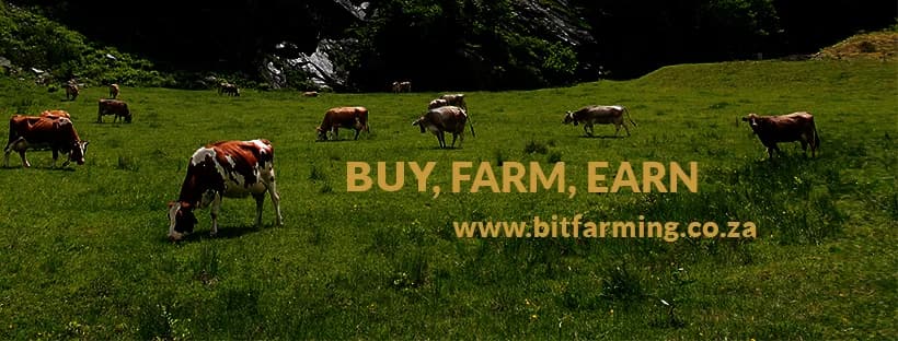 Bitfarming (Pty) Ltd in Garsfontein