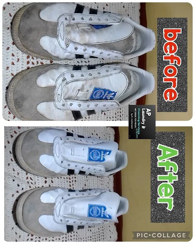 AP Laundry and Cleaning Services PTY in Mitchells Plain