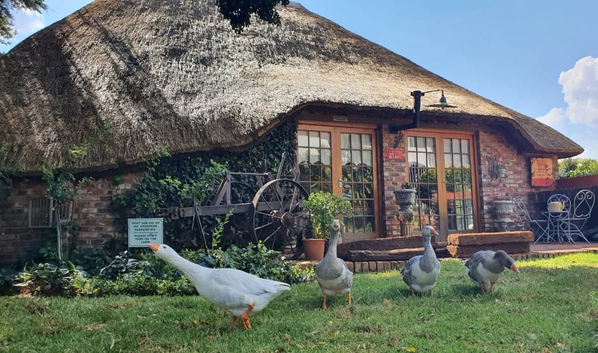 The Farmhouse Guest House in Potchefstroom CBD