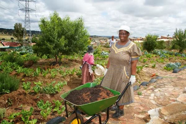 Food & Trees For Africa in Kramerville