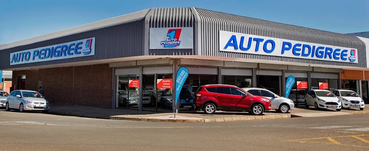 Auto Pedigree Harrismith in Tshiame