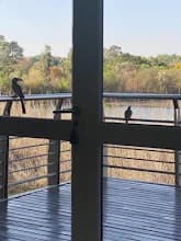 Elna Snyman Attorneys & Conveyancers in Faerie Glen