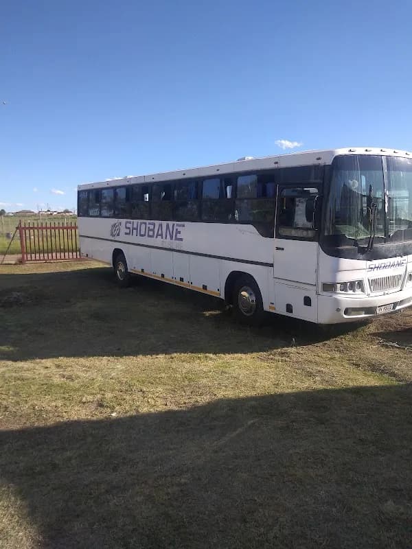 Shobane busline in Madadeni