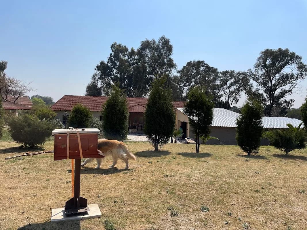 Flow beehive South Africa in Alexandra