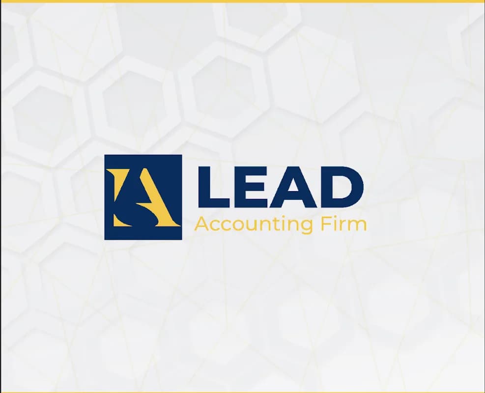 LEAD ACCOUNTING FIRM in Dape