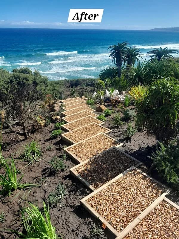 Scope Landscaping SA (George, Mosselbay) in George South