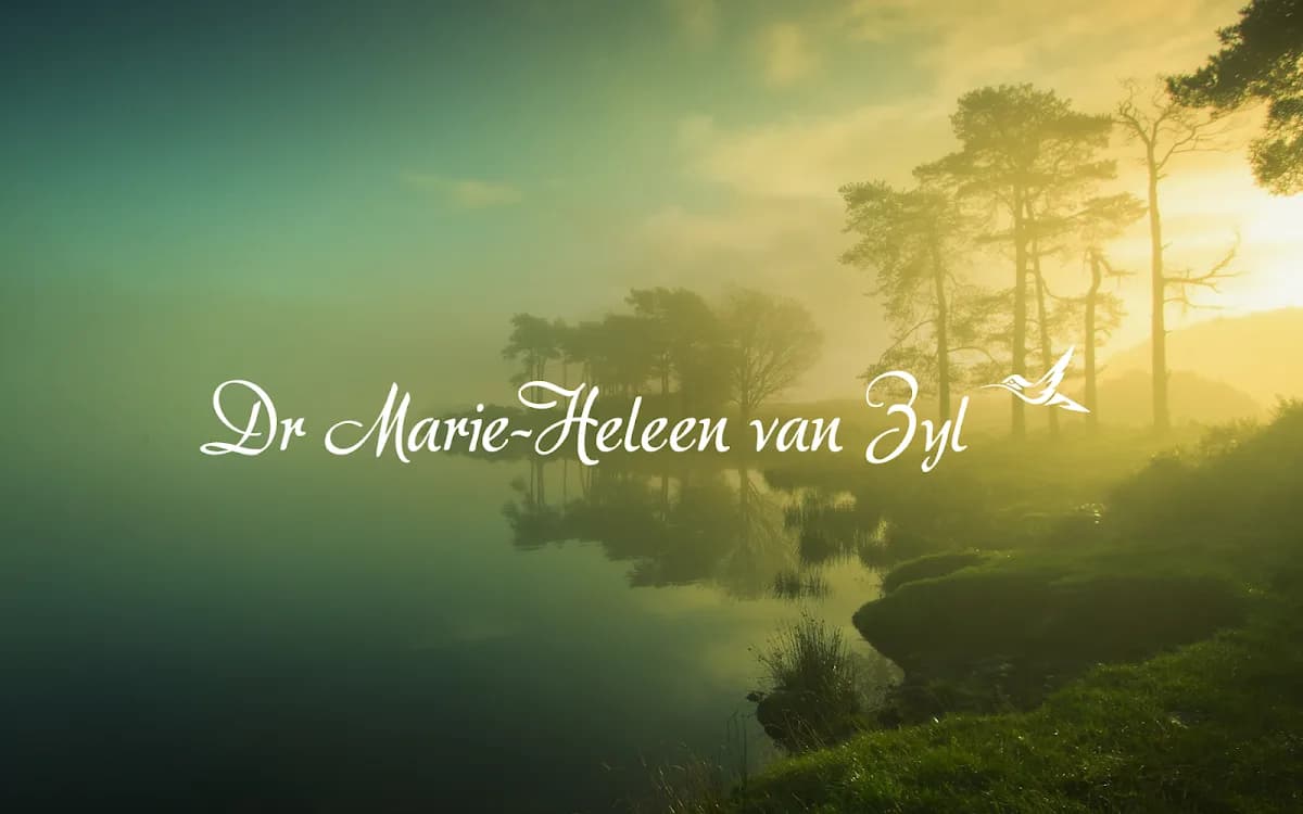 Dr Marie-Heleen Van Zyl Counselling Psychologist in Boksburg CBD