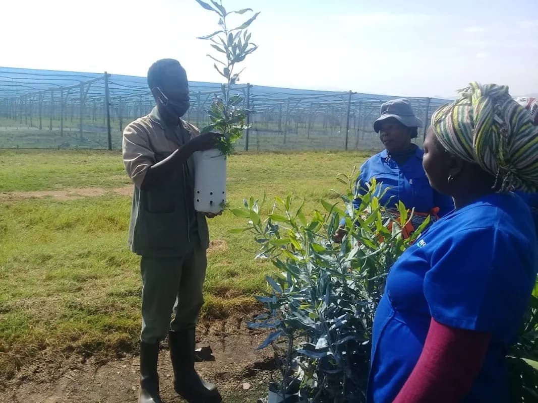 RecruitAgri in Hazyview