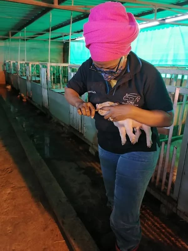 People First Piggery in Rustenburg CBD