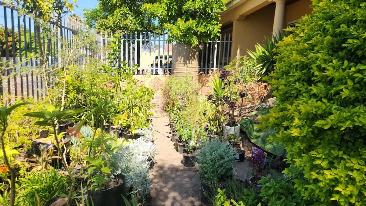 Geh Ngoma nursery in Wynberg